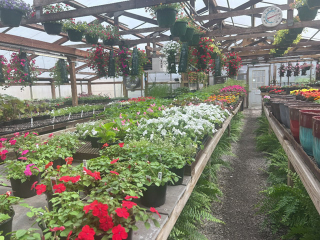 Image of the inside of a greenhouse with several rows of plants and flowers.